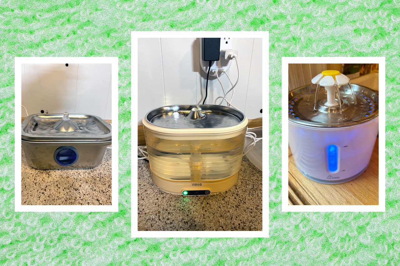 The Best Cat Water Fountains